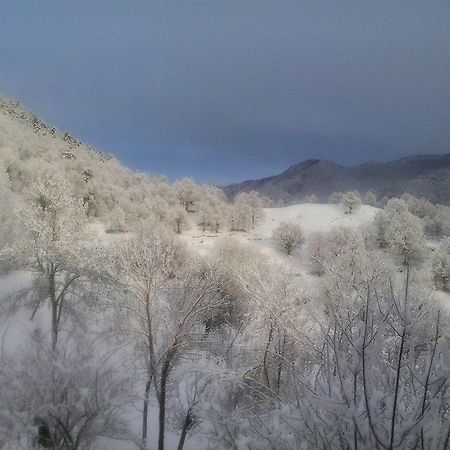 Mas Regort Hotel Vallfogona De Riucorb Zewnętrze zdjęcie